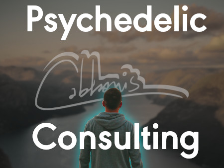 book psychedelic consulting